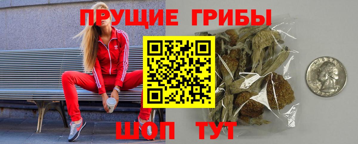 Псилоцибиновые грибы прущие грибы  Вход с VPN  дарнет шоп  Елец 