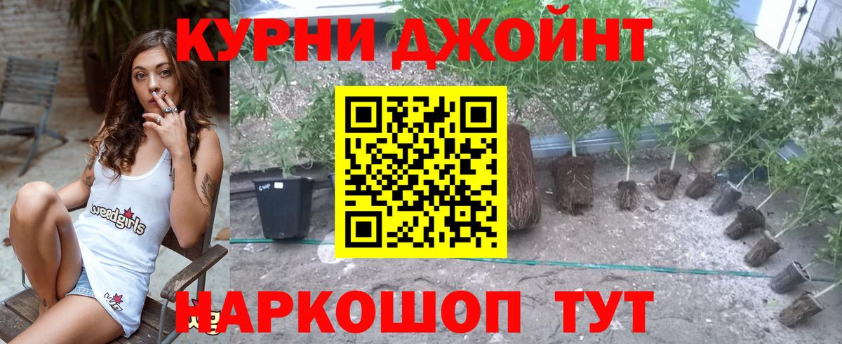 Бошки марихуана ГИДРОПОН  Вход с VPN  Каннабис индика  Елец  Шишки марихуана тримм 